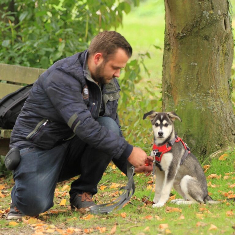 Michael zertifizierter Tierernährungsberater für Hunde und Katzen aus Dortmund mit seinem Hund Floyd